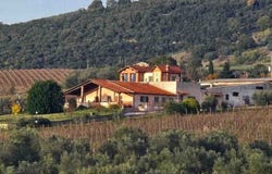 Montecchio, Umbria 05020