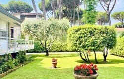 Camaiore, Tuscany 55041