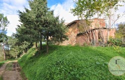 Sinalunga, Tuscany 53048
