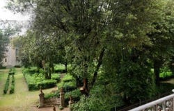 Florence, Tuscany 50121
