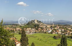 Sarteano, Tuscany 53047