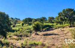 Aggius, Sardinia 07020