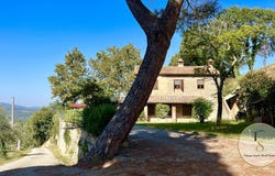 Cetona, Tuscany 53040