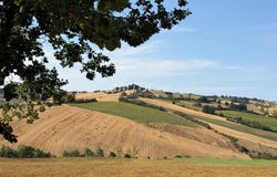 Orciano di Pesaro, Marche 61038