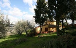 Scrofiano, Tuscany 53048