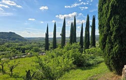 Basques, Umbria 05020