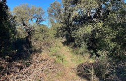 Telti, Sardinia 07020