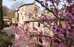 Umbertide, Umbria 06019