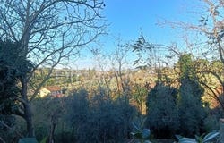 Vinci, Tuscany 50059