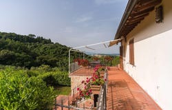 Collesalvetti, Tuscany 57014