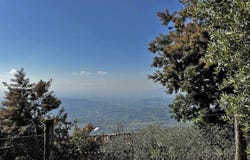 Capannori, Tuscany 55010