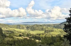 Palaia, Tuscany 56036