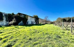 Lucca, Tuscany 55100