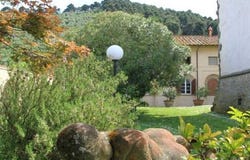 Camaiore, Tuscany 55041