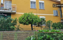 rome, Lazio 00156