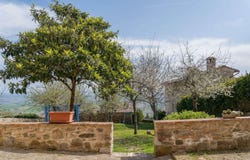 Montalcino, Tuscany 53024