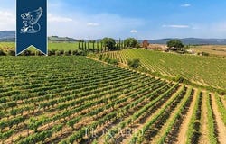 Montalcino, Siena