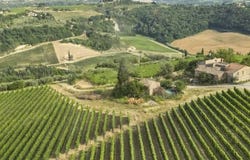 Montespertoli, Tuscany 50025