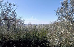 Vinci, Tuscany 50059