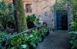 Orvieto, Umbria 05018