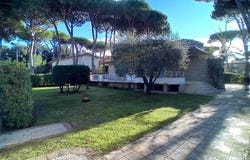 Camaiore, Tuscany 55041