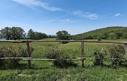 Pontassieve, Tuscany 50065
