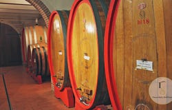 Montepulciano, Tuscany 53045