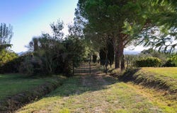 Grosseto, Tuscany 58100