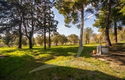 Cinigiano, Tuscany 58044