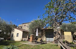 Lajatico, Tuscany 56030