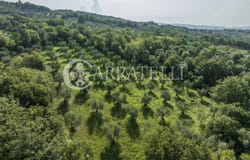 Campagnatico, Tuscany 58042