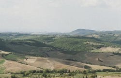 Montepulciano, Tuscany 53045