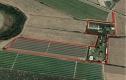 Strada Provinciale ex Strada Statale 175, Montescaglioso, Basilicata 75024