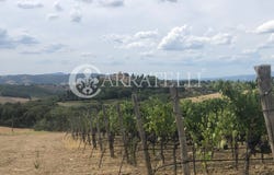 Cinigiano, Tuscany 58044
