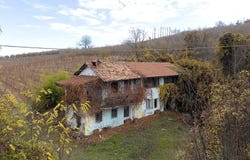 Dogliani, The Piedmont 12063