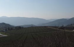 Pelago, Tuscany 50060