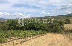 Cinigiano, Tuscany 58044