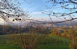 Dogliani, The Piedmont 12063