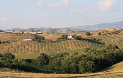 Campagnatico, Tuscany 58042