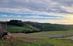 Asciano, Tuscany 53041
