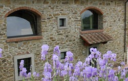 Rufina, Tuscany 50068