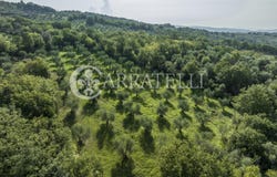 Campagnatico, Tuscany 58042