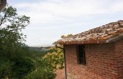 Trequanda, Tuscany 53020