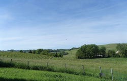 Nizza Monferrato, The Piedmont 14049