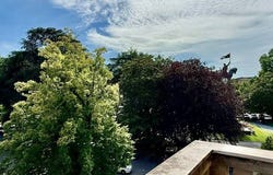 Lucca, Tuscany 55100