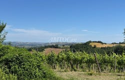 Arcevia, Marche 60011