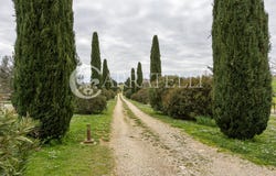 Tuscania, Lazio 01017