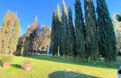 Rosignano Marittimo, Tuscany 57016