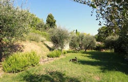 Sarteano, Tuscany 53047