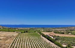 Sorso, Tàttari/Sassari